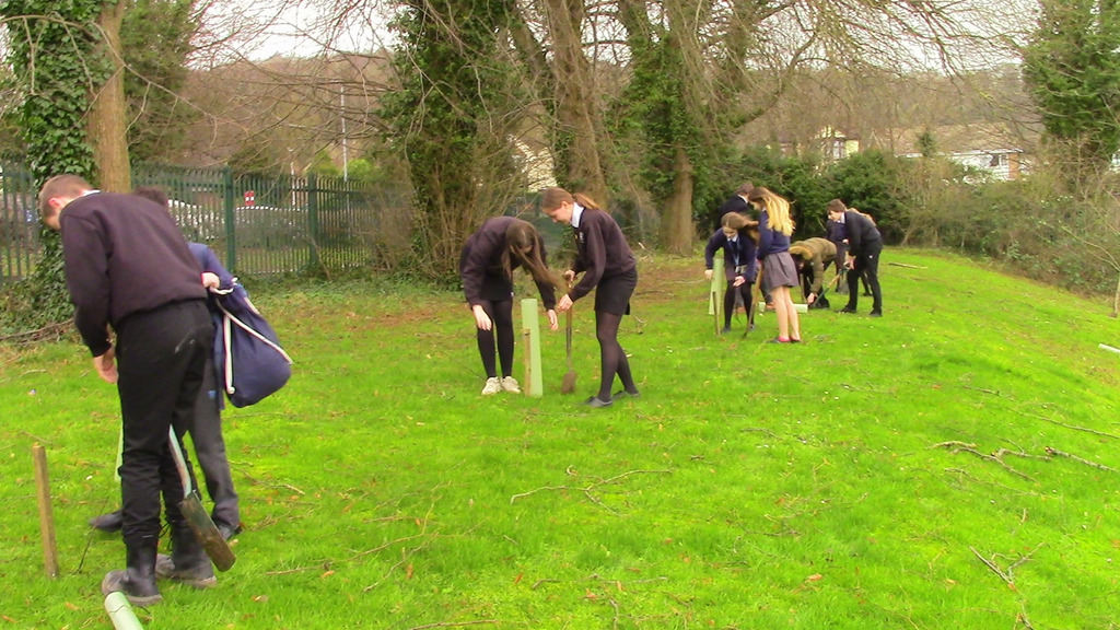 Students Tree Planting at Rednock